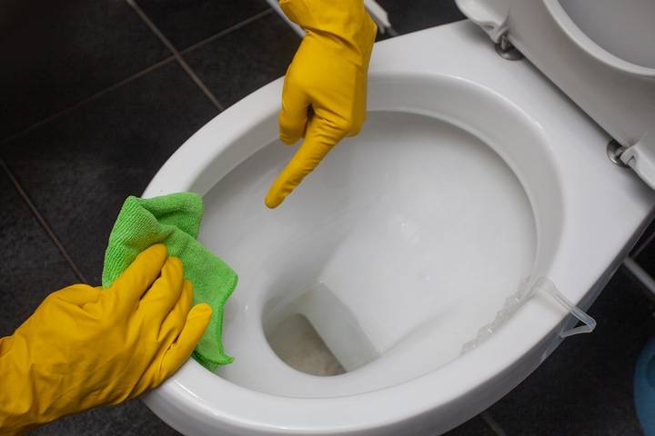 https://www.birnieplumbinganddrains.ca/wp-content/uploads/2022/09/Clogged-toilet-trap.jpg