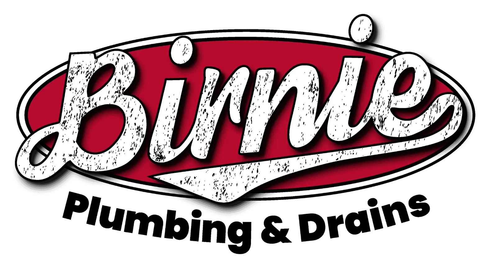 Birnie Plumbing & Drains logo