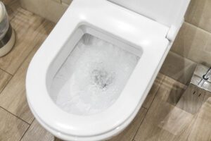 Running toilet in Burlington Ontario